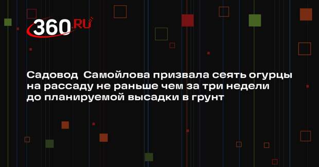 Садовод  Самойлова призвала сеять огурцы на рассаду не раньше чем за три недели до планируемой высадки в грунт