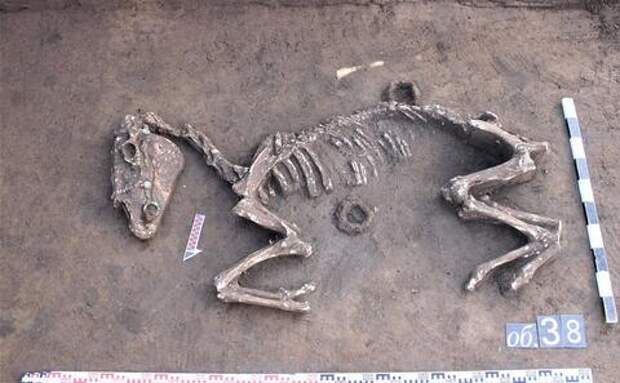 На Кубани нашли средневековый могильник