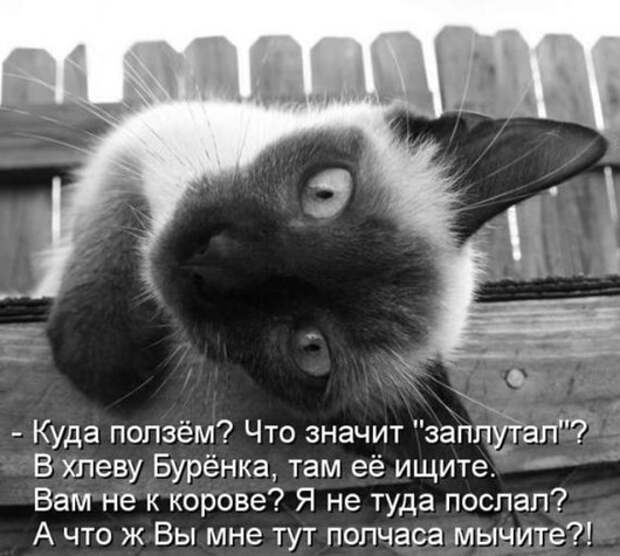 52fd4960c5e69b8bce1caf1d28f_prev