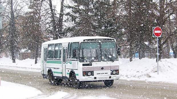 "Дура бесстыжая". В Барнауле водитель автобуса оскорбил девушку из-за проездного