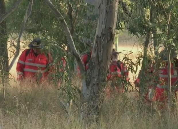 Трехлетняя девочка потерялась в лесу; полицейская операция не принесла результата. Спасителем малышки стал старый полуслепой пес