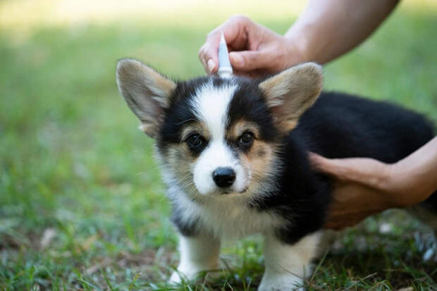 Источник: Shutterstock/Fotodom.ru