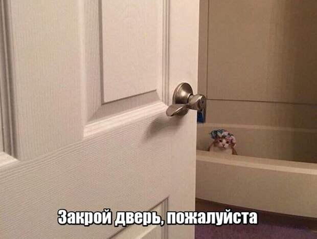 Новая партия искрометных приколов для надрыва животов Новая партия искрометных приколов для надрыва животов