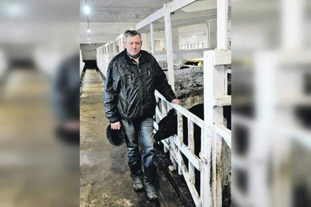 «Задавить Комара»