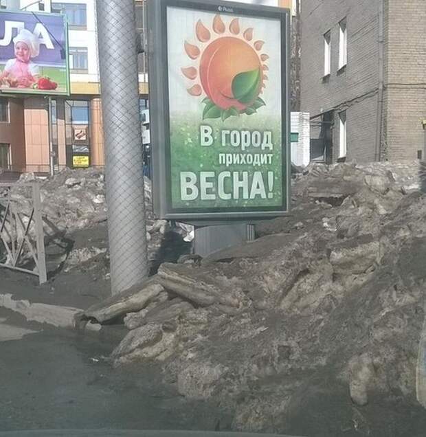 Веселые картинки и фотографии для поднятия настроения (12 фото)