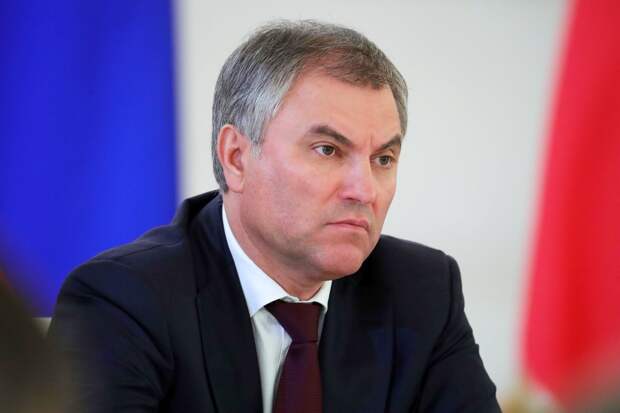 Володин предложил обсудить ограничения анонимности в интернете
