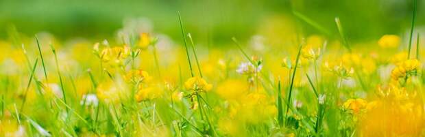 До +17 и без осадков: погода в Алматы 25 марта