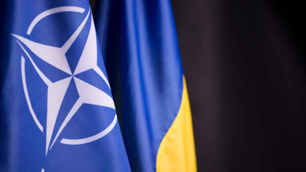 Telegraph: Украину не хотят видеть в НАТО из-за масштабной коррупции в стране