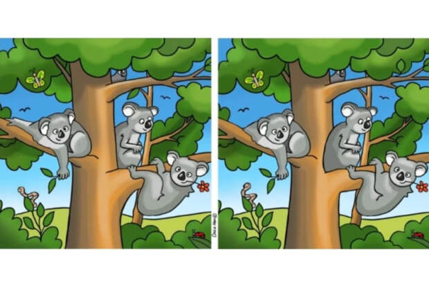 Головоломка для избранных: найдите десять отличий быстрее, чем 70% людей