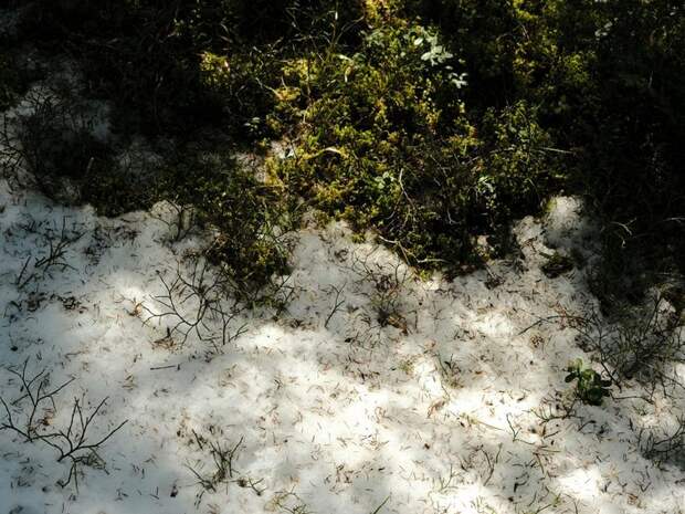 Почему снег тает: объяснение для детей и советы родителям