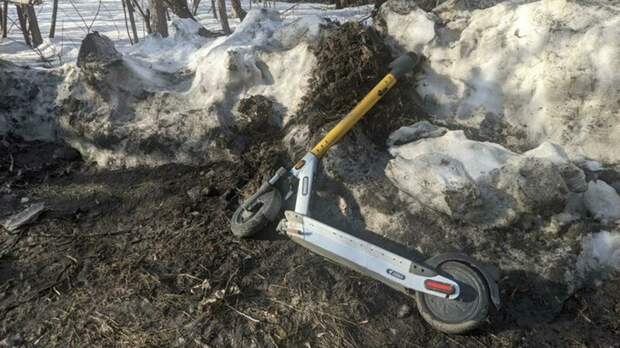 Самокат в Барнауле / Фото: amic.ru