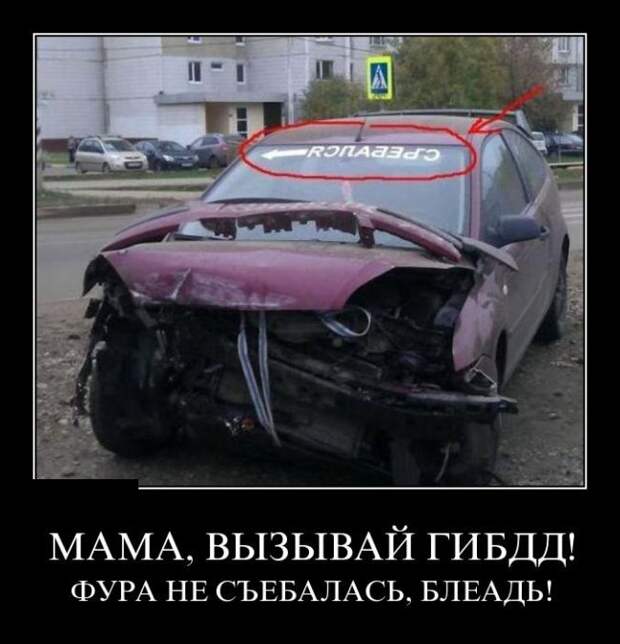 Демотиваторы (30 фото) Демотиваторы (30 фото)