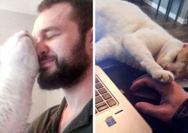 20+ неловких случаев на собеседованиях, которые могут произойти с каждым, кто ищет работу