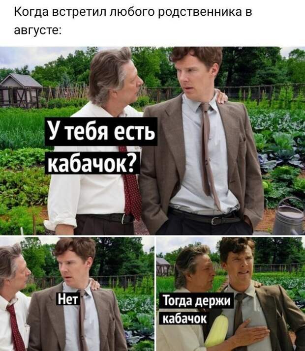 Почему они с таким упорством втюхивают кабачки, а не колбасу, ветчину или моцареллу?! Почему они с таким упорством втюхивают кабачки, а не колбасу, ветчину или моцареллу?!