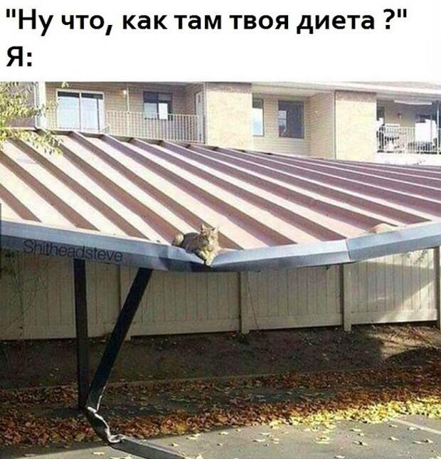 Не задавайте больше такие вопросы