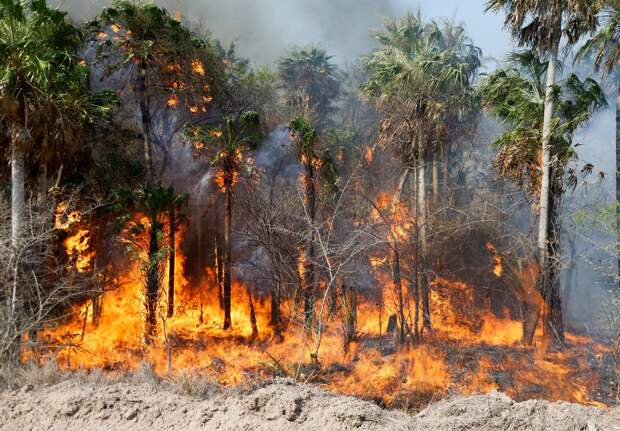 Повседневная жизнь в Латинской Америке