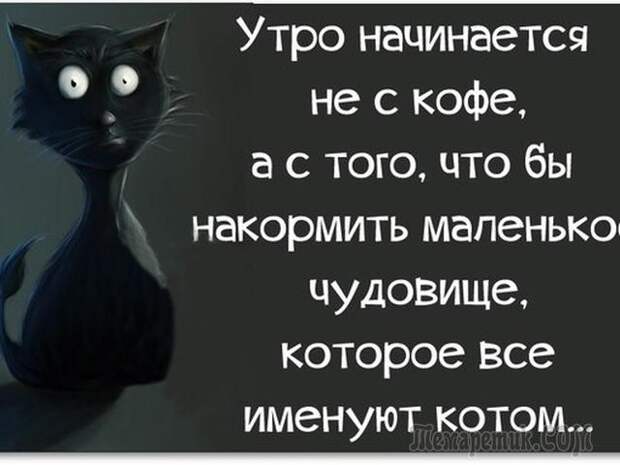 Смешные открытки с философские уклоном