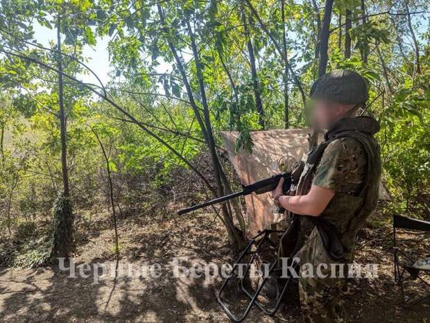 РазДРОБленность на СВО