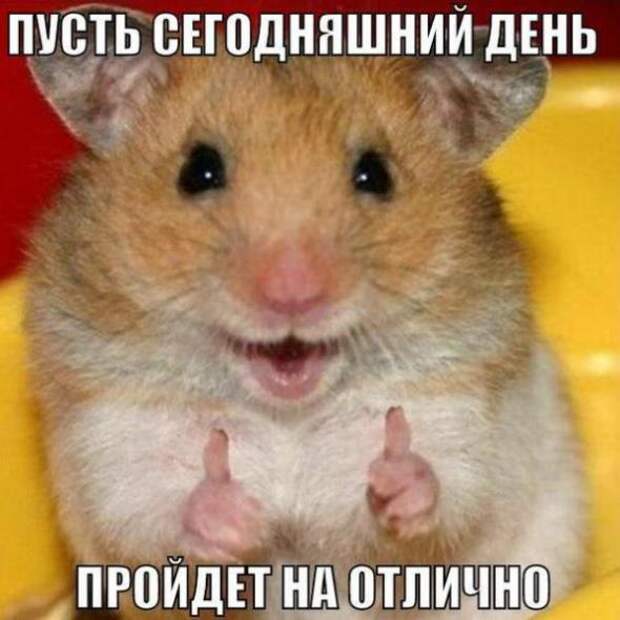 Подборка классных демотиваторов № 99
