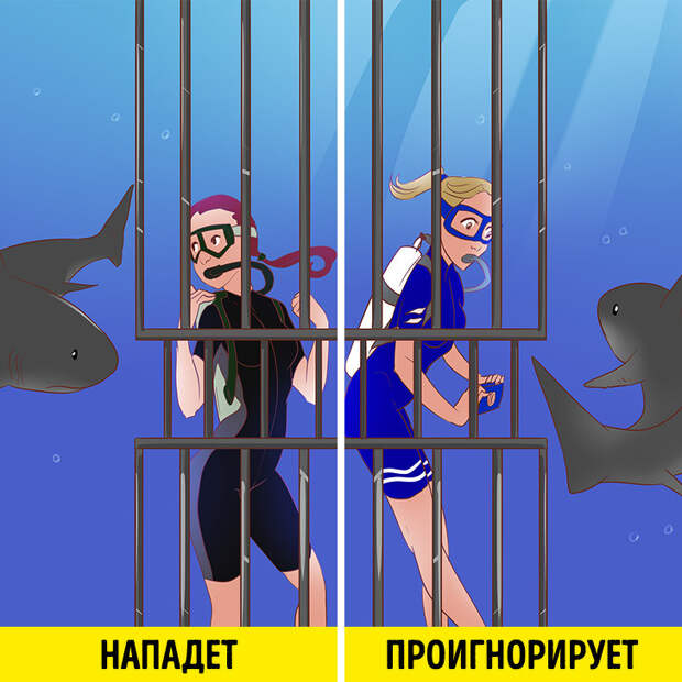 20+ простых фактов, которые однажды могут спасти вам жизнь