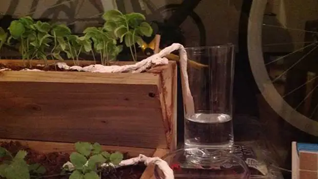 truc cu prosoape de hârtie