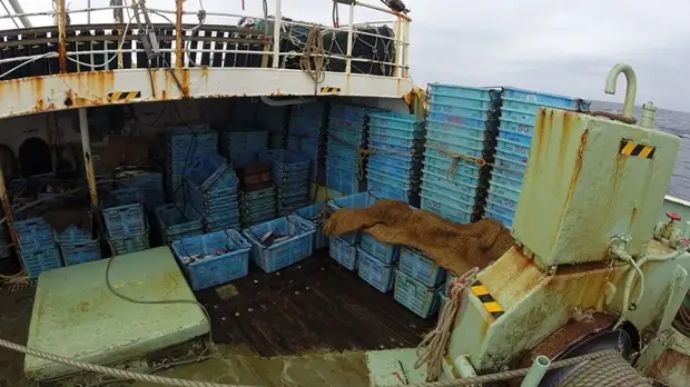 ФСБ возбудила дело против капитана японского судна за незаконный вылов краба