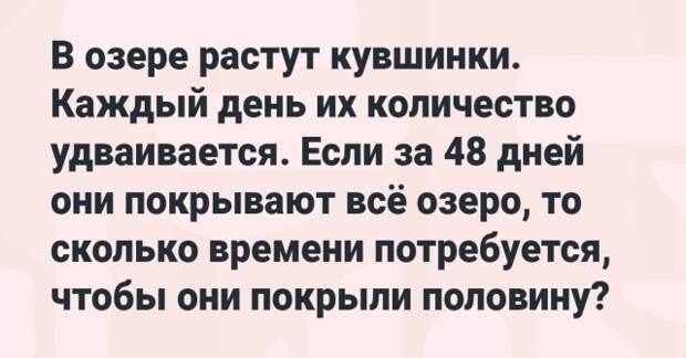 www.vsyako.net
