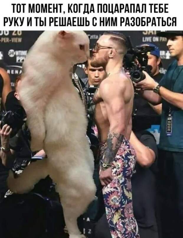 Фото-приколы дня