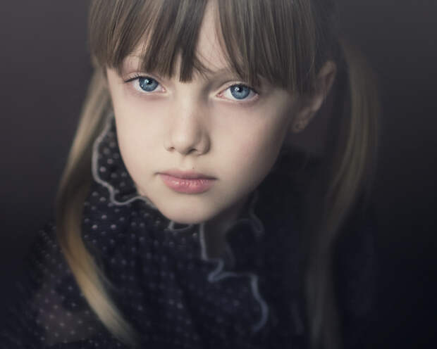 Excellent Micro Photography