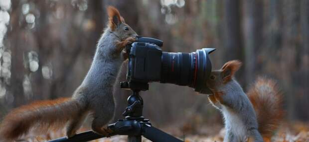 best-photos-of-the-month-november-2014-artnaz-com-22