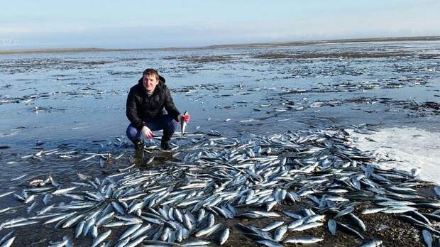 Морской улов колымского рыбака