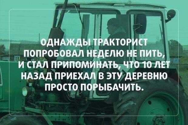 Веселые картинки, которые поднимут вам настроение!