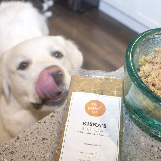 Feed fresh and keep your dog happy with The Farmer's Dog. It's a favorite for the Great Pyrenees at It's Dog or Nothing!