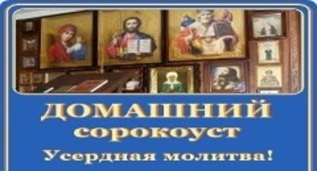 ЧТО ЗНАЧИТ ДОМАШНИЙ СОРОКОУСТ?
