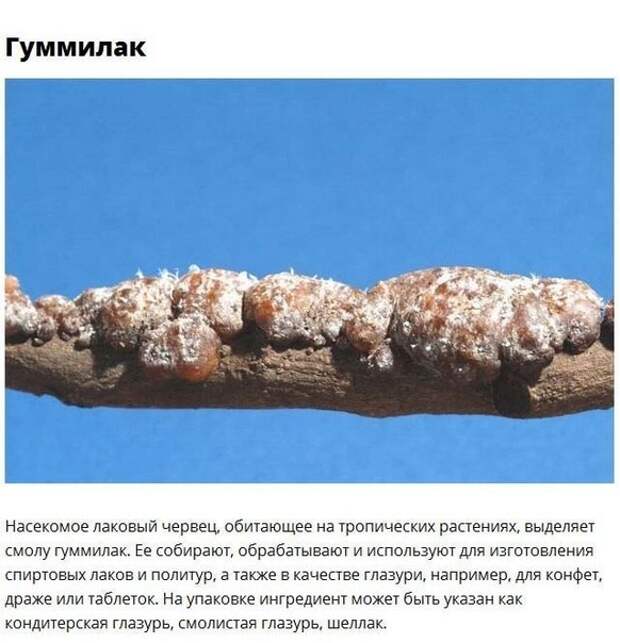 Еда с сюрпризом Еда с сюрпризом