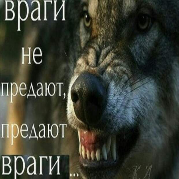 www.vsyako.net
