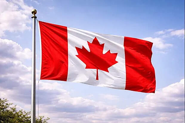 Пленный: в 1-м штурмовом полку ВСУ выдают канадские винтовки Colt, которые клинят при загрязнениях