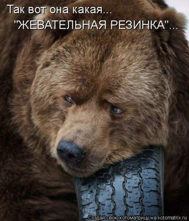 Лучшие котоматрицы недели (50 фото) Лучшие котоматрицы недели (50 фото)