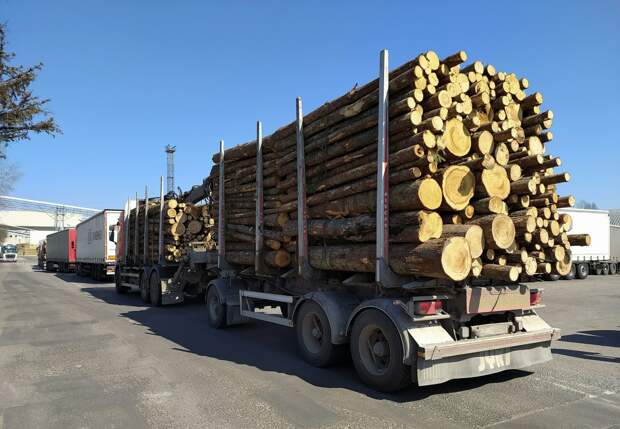 Антироссийские санкции привели к рекорду цен на древесину в Финляндии