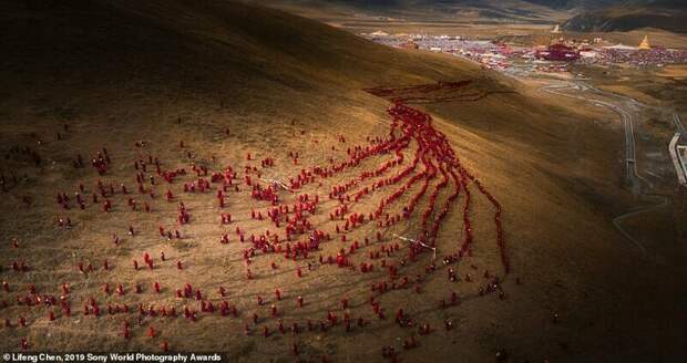 Завораживающие снимки финалистов конкурса Sony World Photography Awards 2019 Завораживающие снимки финалистов конкурса Sony World Photography Awards 2019