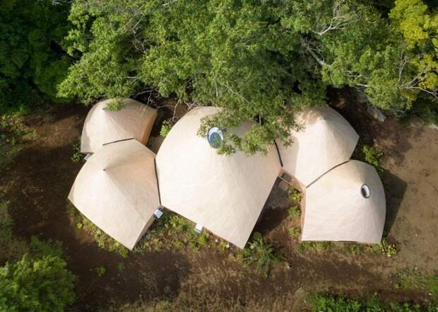 Необычный жилой дом с лесной чаще (Jikka, остров Хонсю).