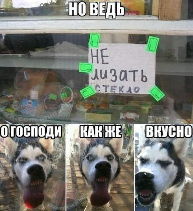 Всяко - разно 12 )))
