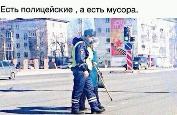 Картинки картинки, юмор