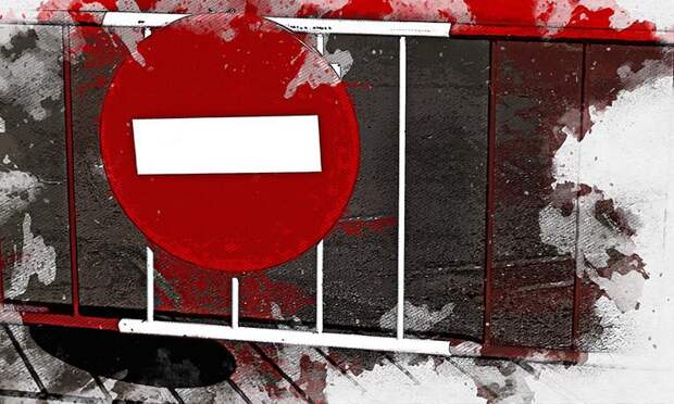 В Орле на два часа перекроют центральную улицу из-за опиловки деревьев