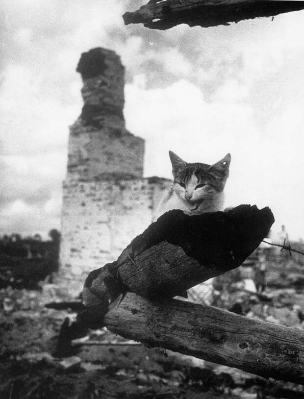 Фотография: 64 гениальные советские фотографии