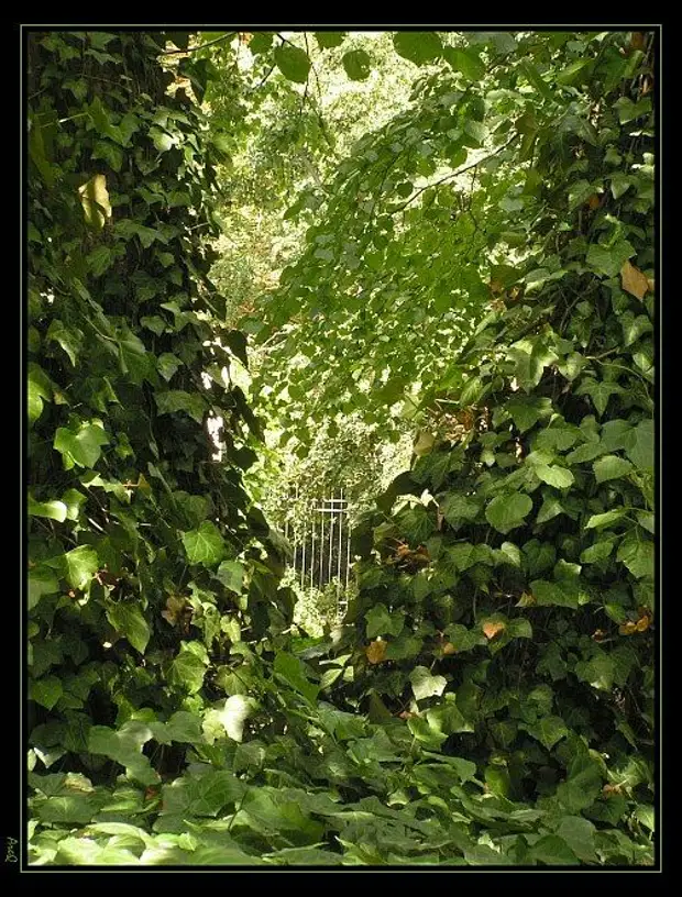 Магический сад - пространство человеческой Души