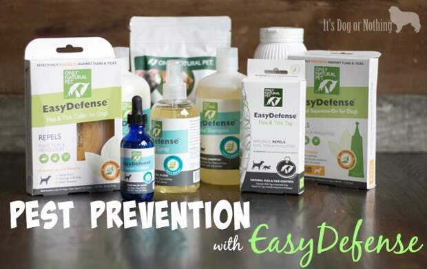 Fleas and ticks are a problem no matter where you live. Skip the chemicals and protect your dog from pests using the natural EasyDefense from Only Natural Pet.