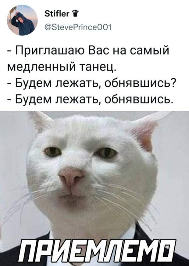 Смешные картинки 27 сентября 2021 года
