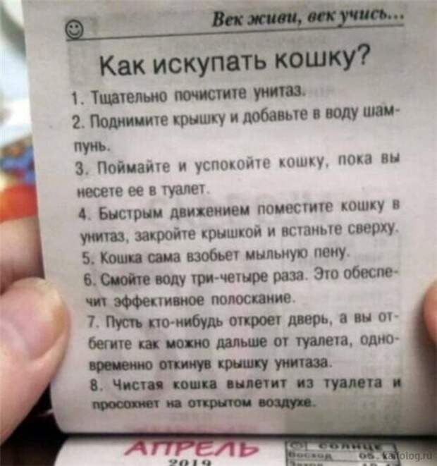 Владельцы котов, что скажете? Владельцы котов, что скажете?