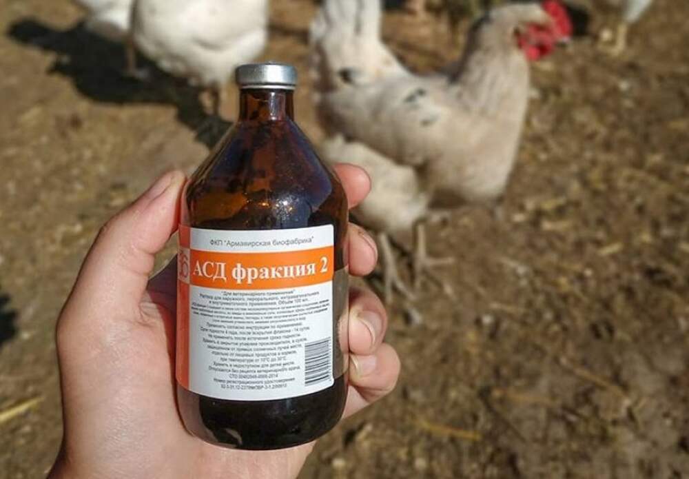 Какие лекарства цыплятам